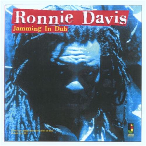 Jamming in Dub cover art