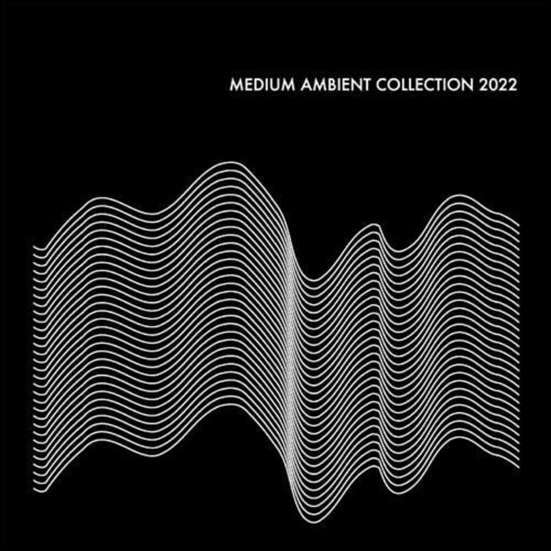 Medium Ambient Collection 2022 cover art