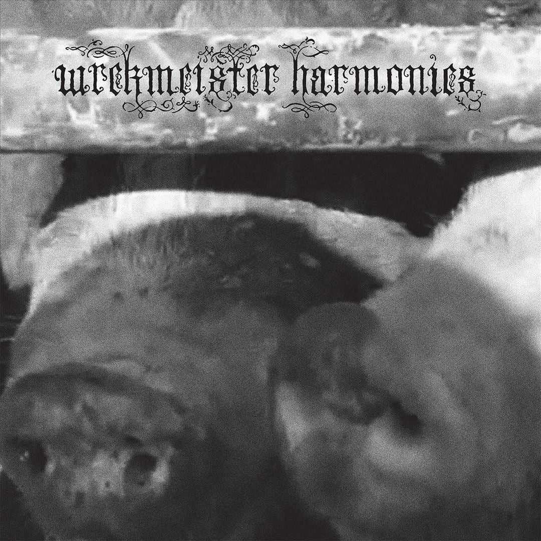 Flowers in the Spring cover art