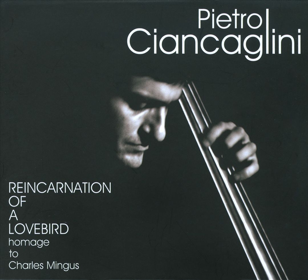 Reincarnation of a Lovebird cover art