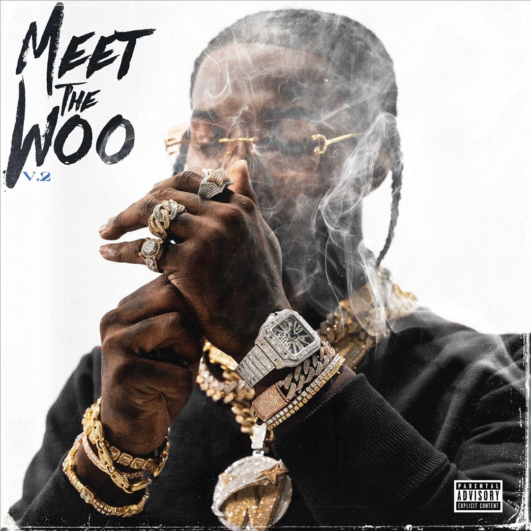 Meet the Woo, Vol. 2 cover art