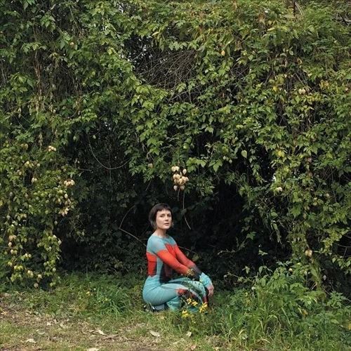 Molasses cover art