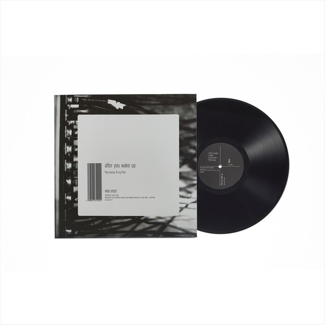 After You Wake Up cover art