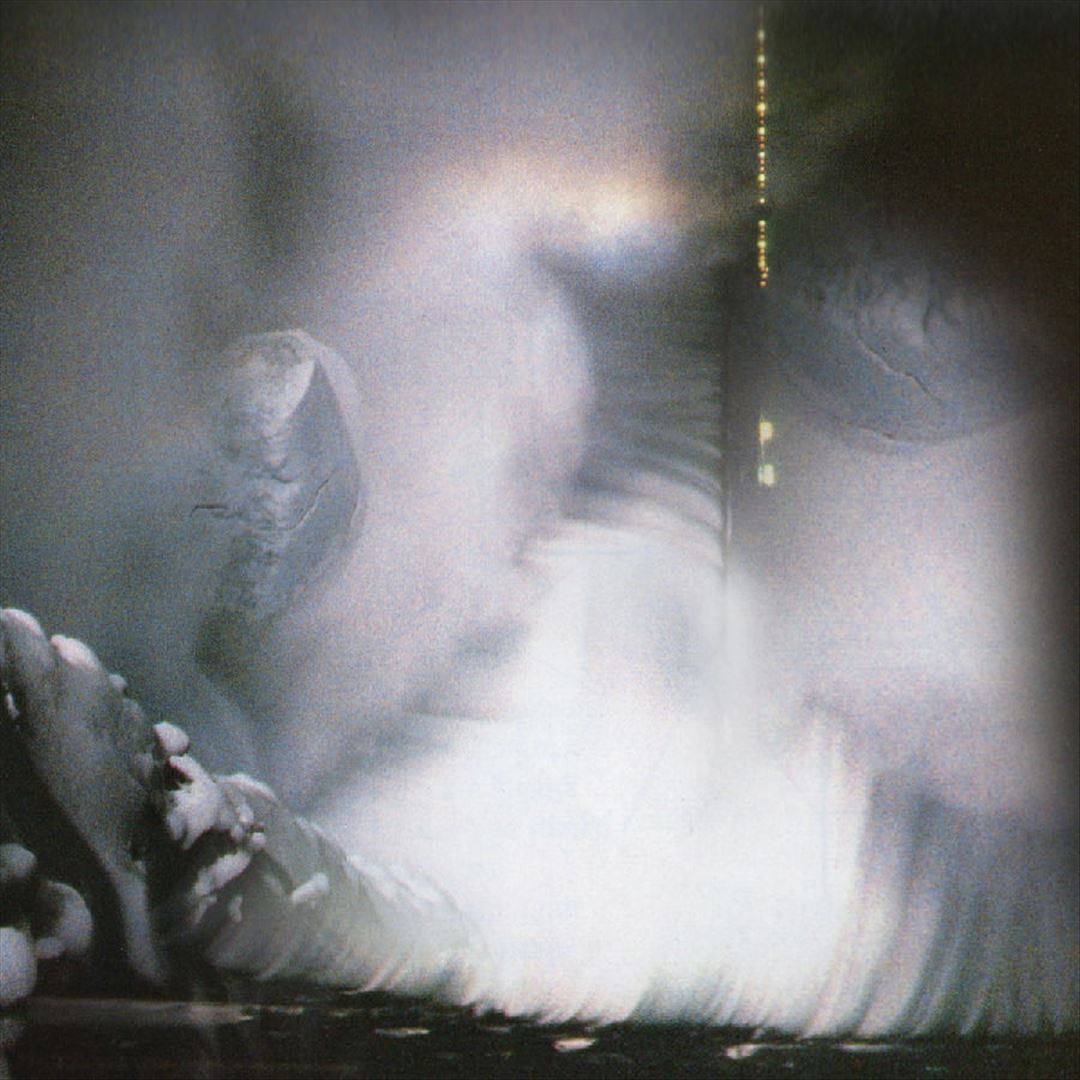 Landlines cover art