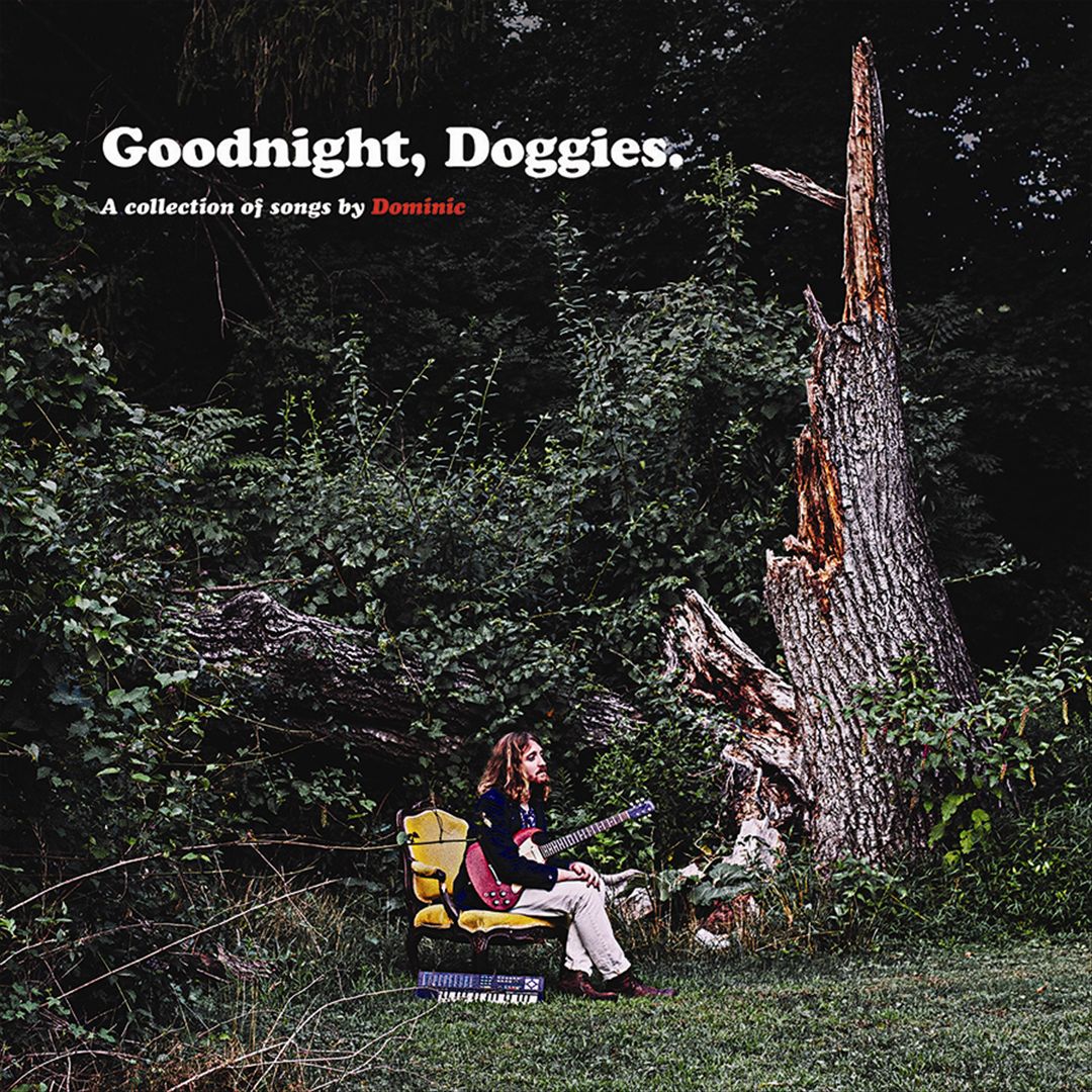 Goodnight, Doggies. cover art