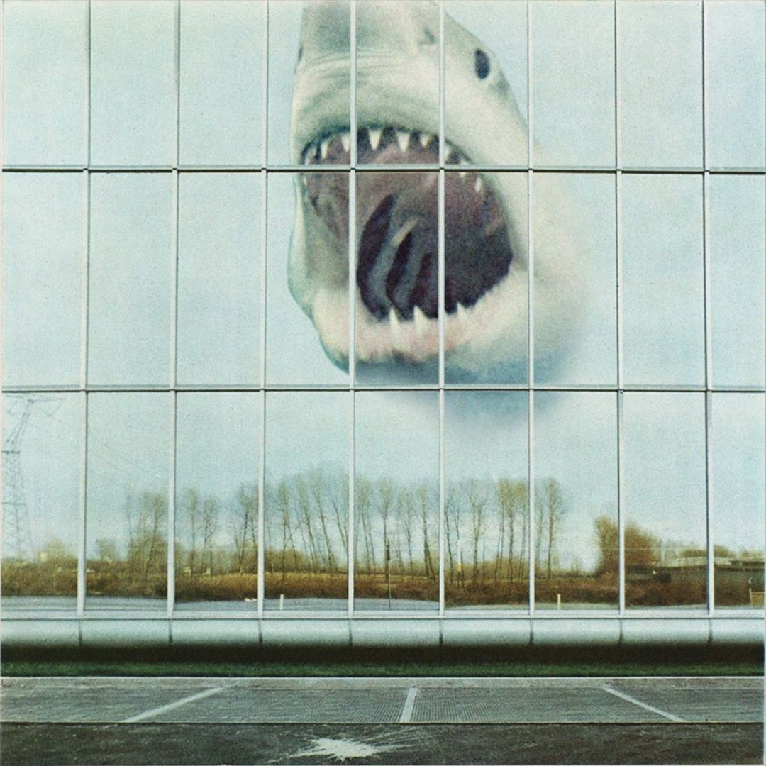Wilderness Heart cover art