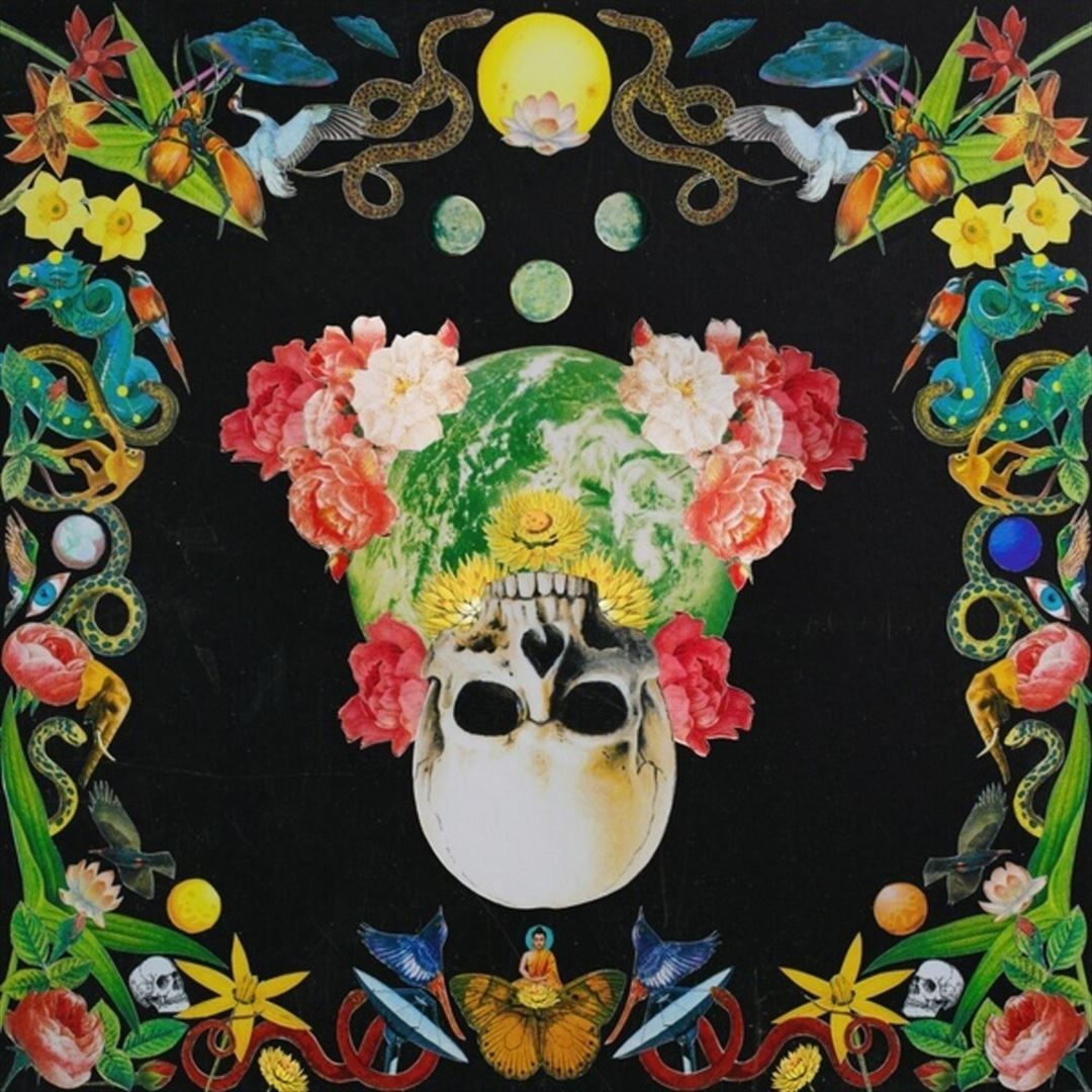 Helichrysum cover art