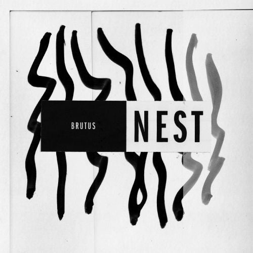 Nest cover art