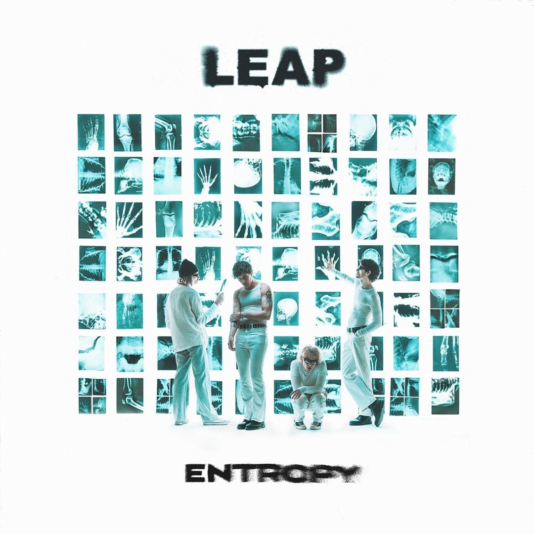 Entropy cover art