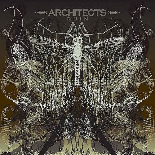 Ruin cover art