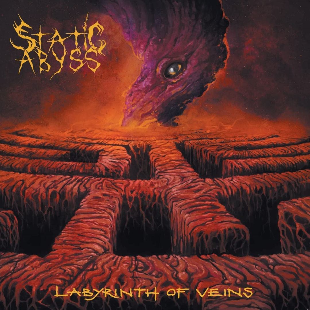 Labyrinth of Veins cover art