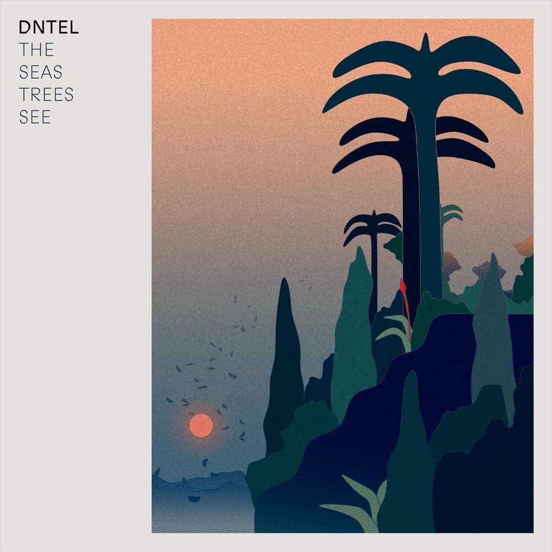 Seas Trees See cover art