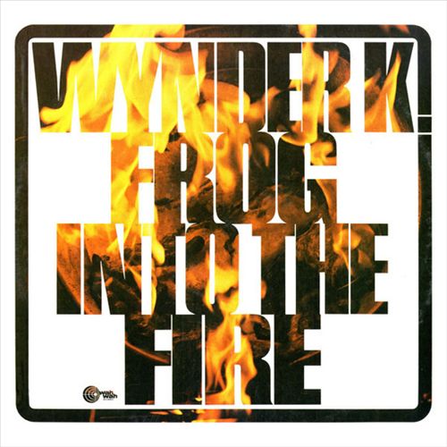 Into the Fire cover art