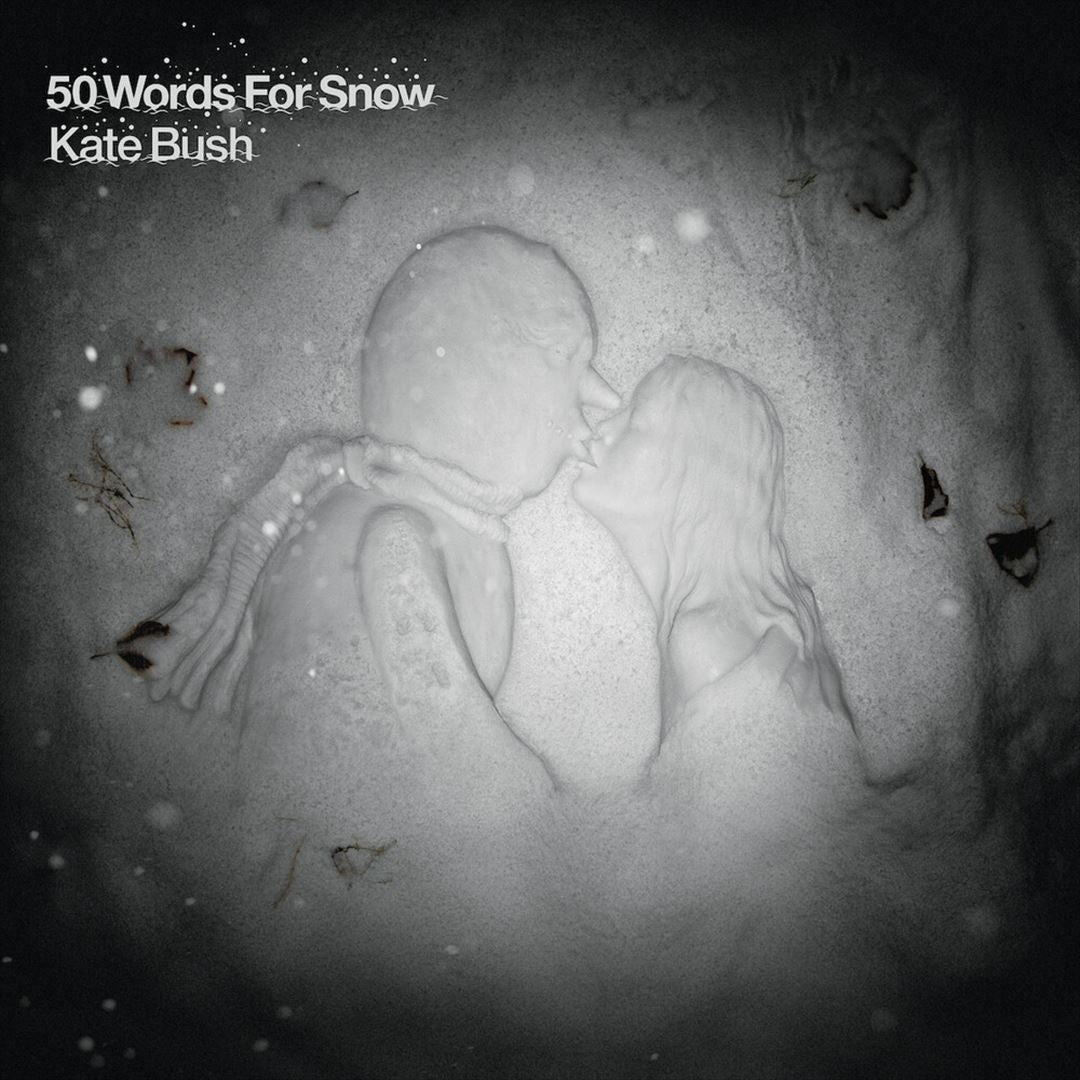 50 Words for Snow cover art