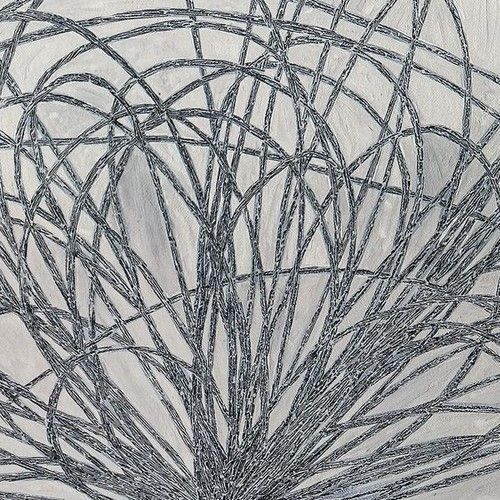 Hausi cover art