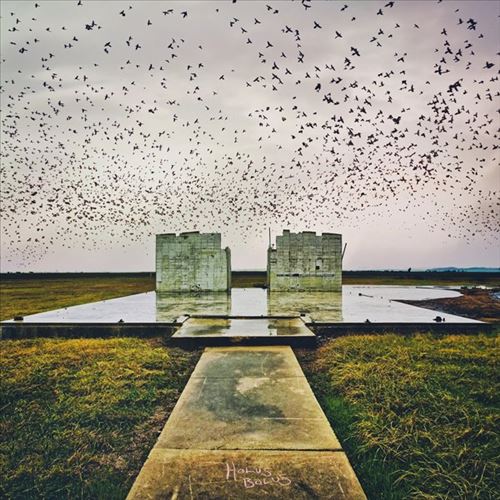 Holus Bolus cover art