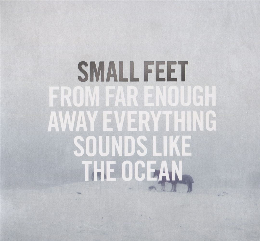 From Far Enough Away Everything Sounds Like the Ocean cover art