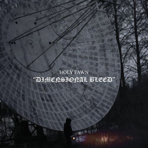 Dimensional Bleed cover art