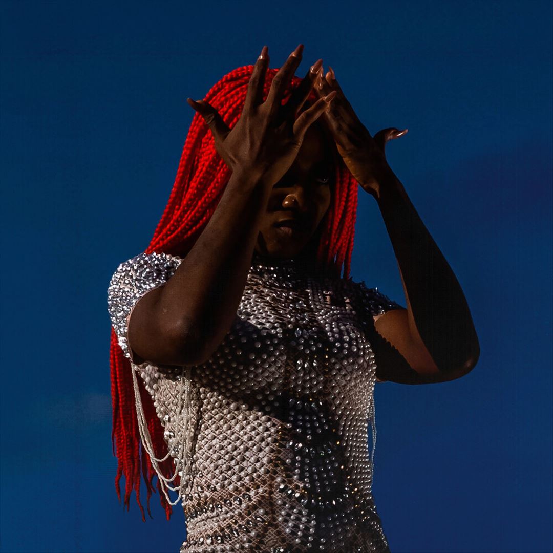 Viral Wreckage cover art