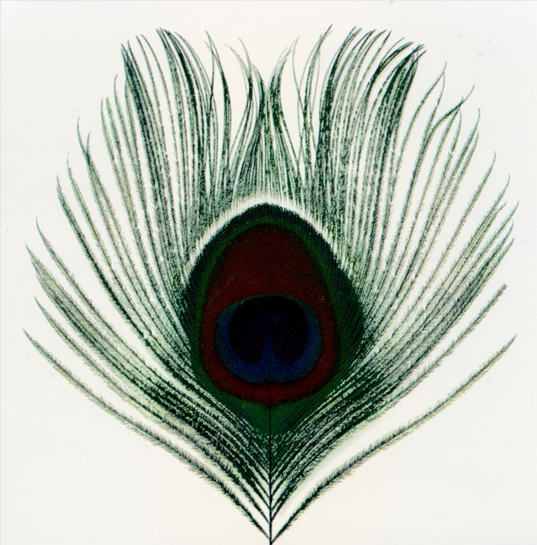 Apple Venus, Vol. 1 cover art