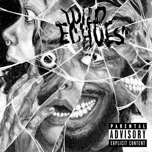 Wild Echoes cover art