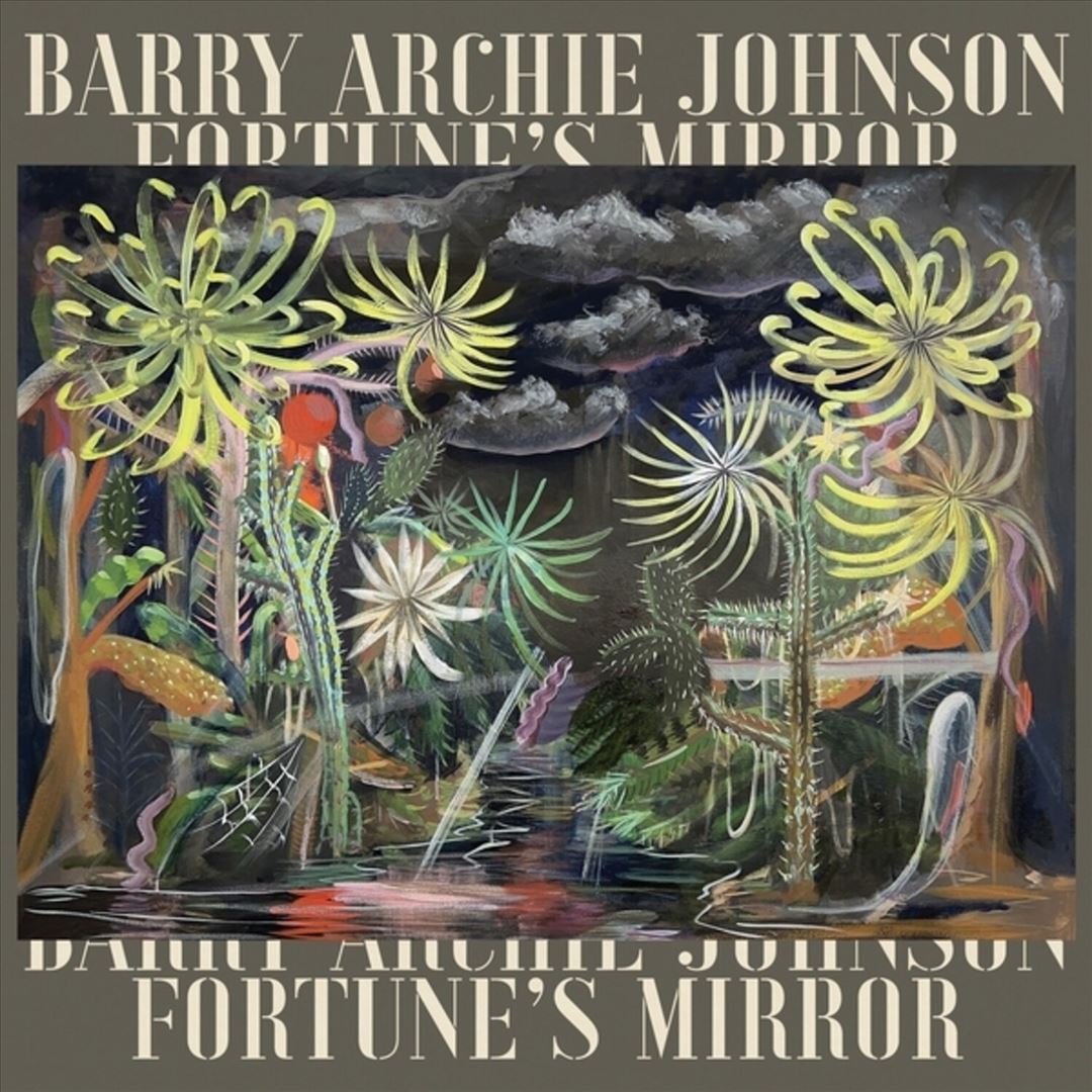 Fortune's Mirror cover art
