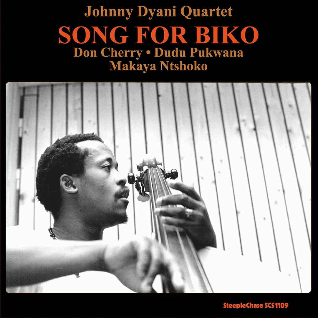 Song for Biko cover art