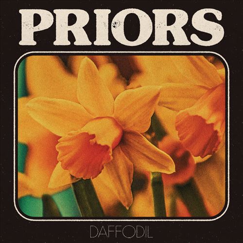 Daffodil cover art