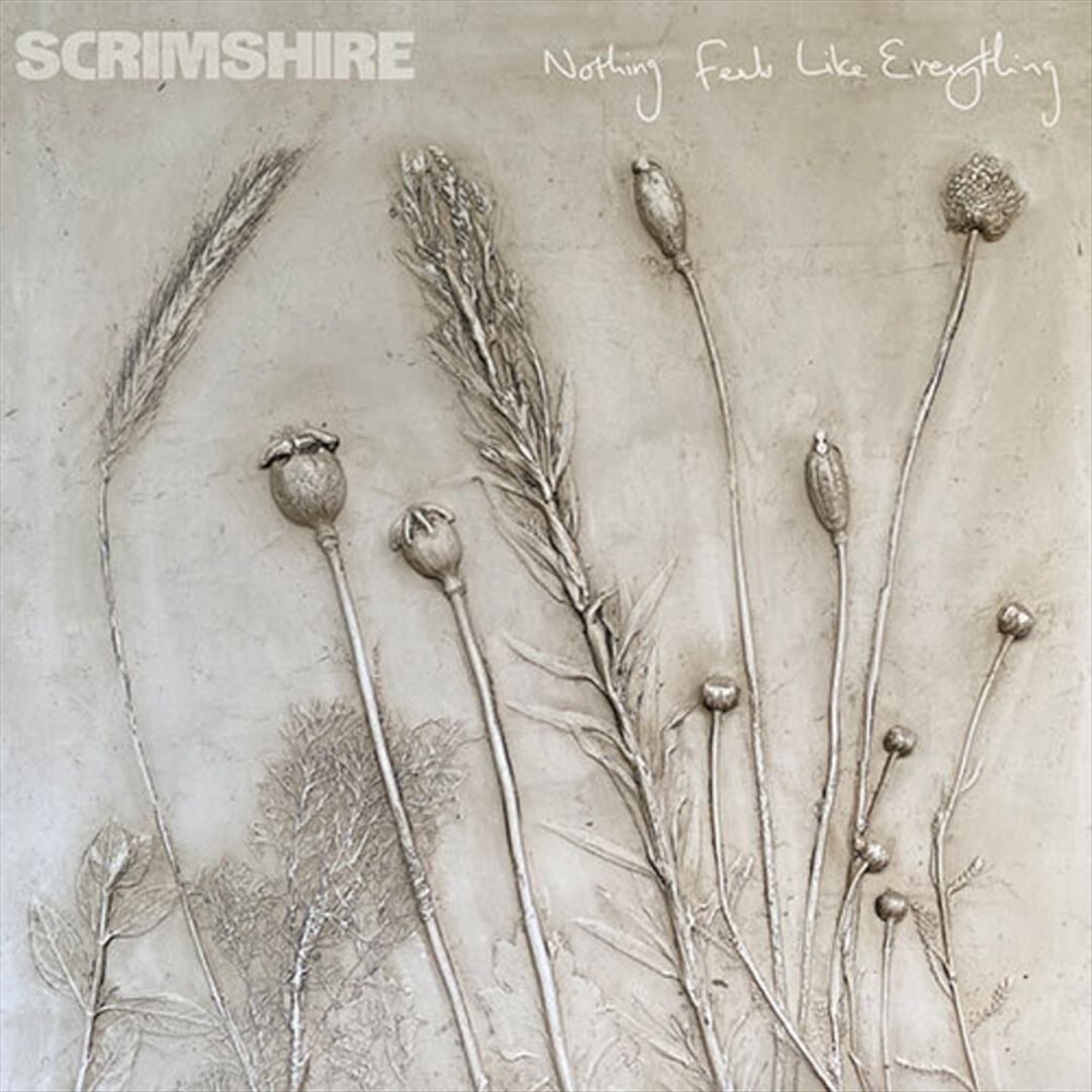 Nothing Feels Like Everything cover art