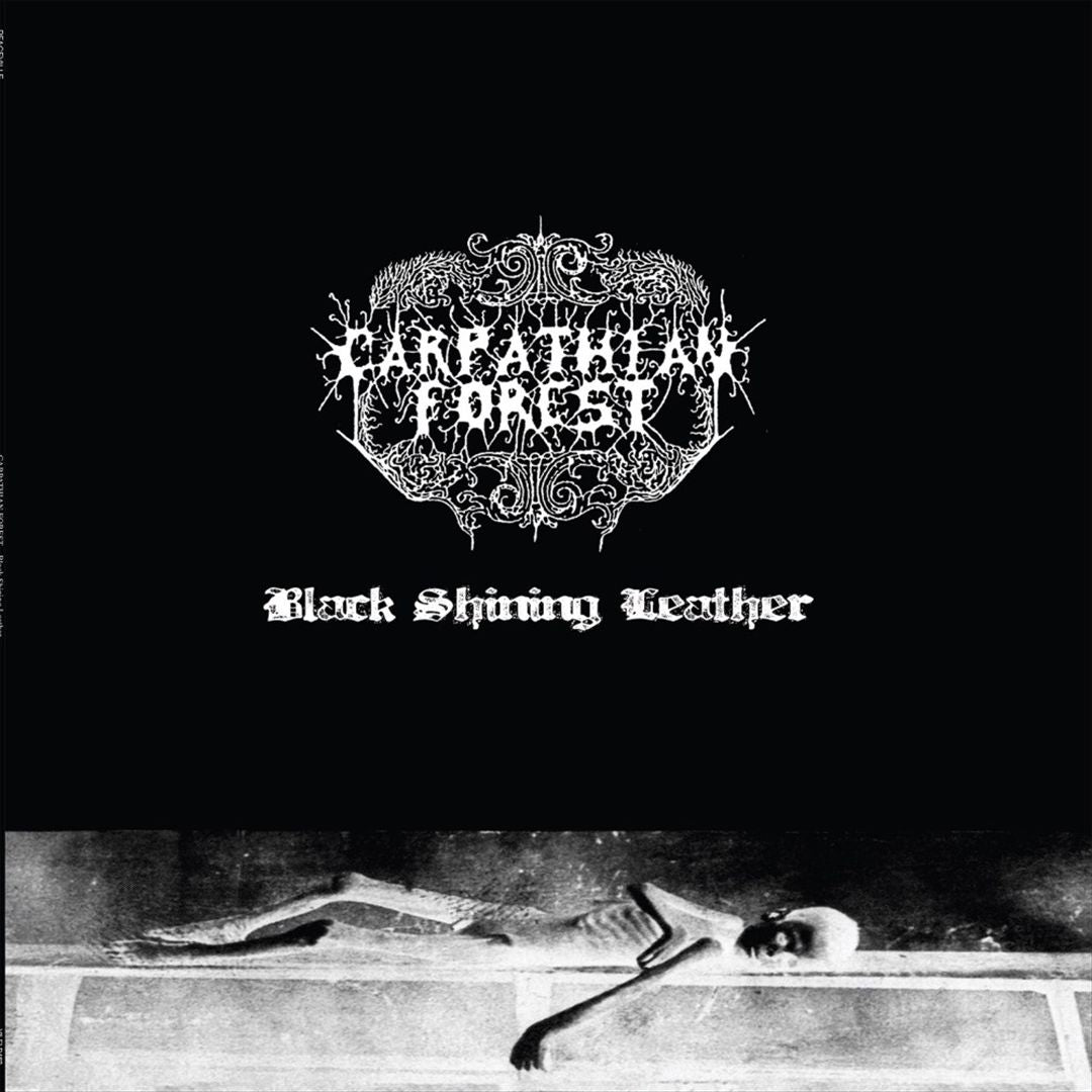 Black Shining Leather cover art