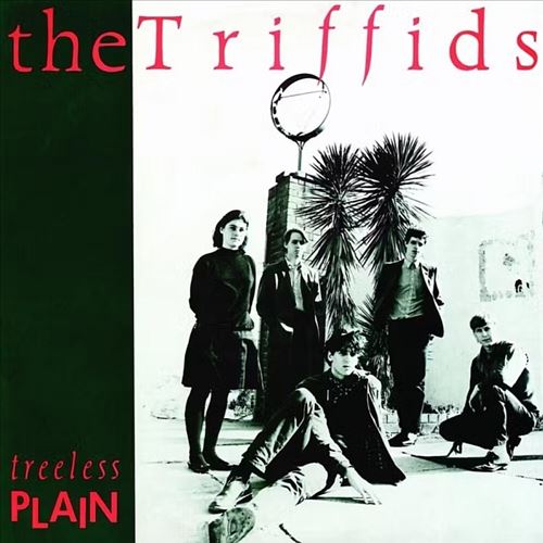 Treeless Plain cover art