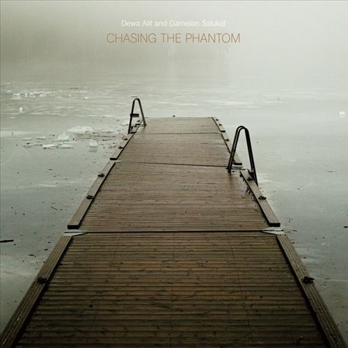 Chasing the Phantom cover art