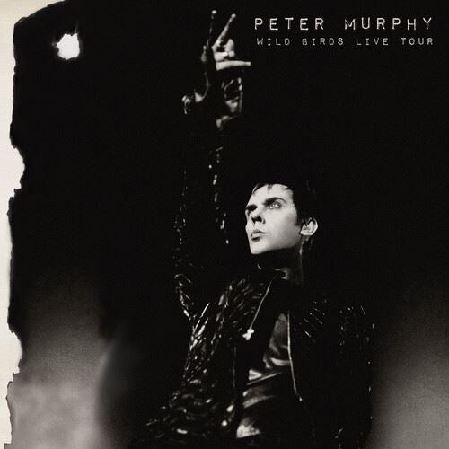 Wild Birds Live Tour cover art
