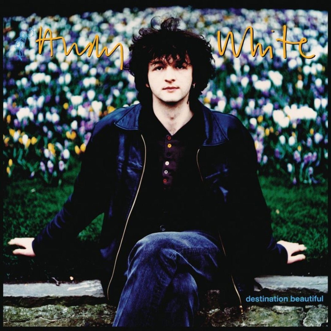 Destination Beautiful cover art