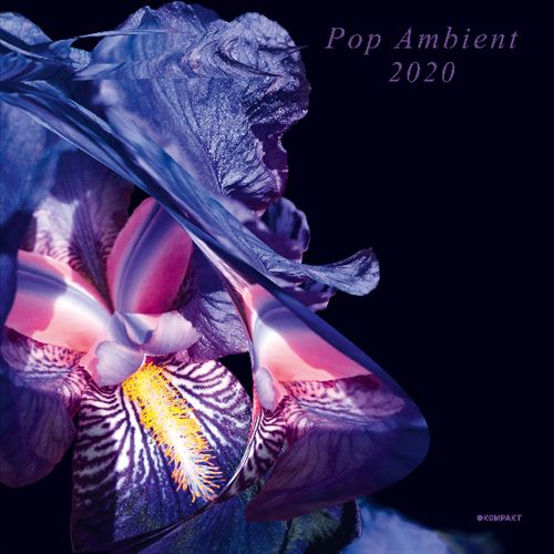 Pop Ambient 2020 cover art