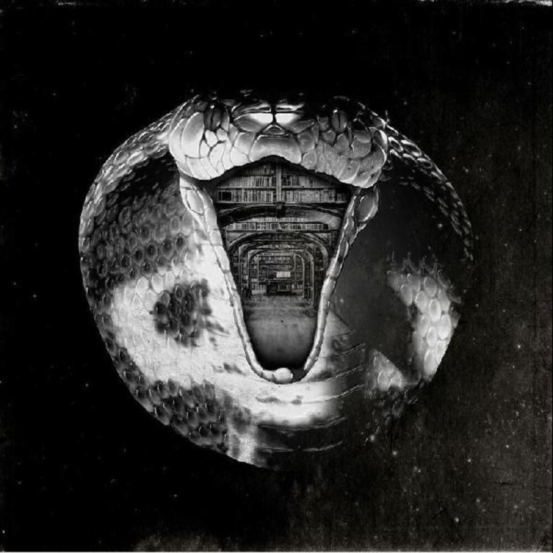 Genius Killer cover art