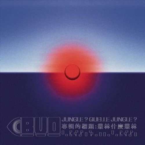 Jungle? Quelle Jungle? cover art