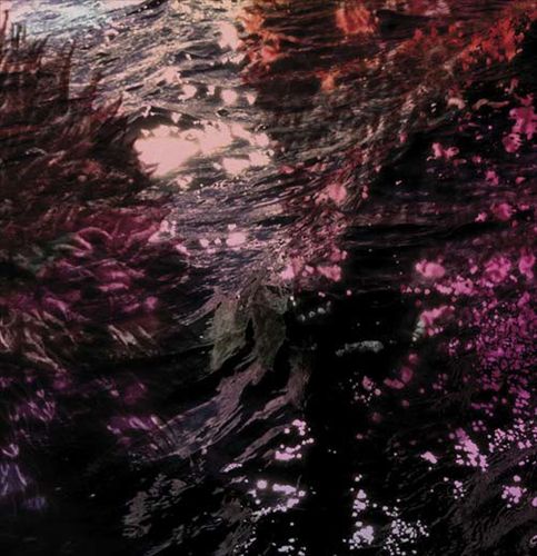 Treillis cover art