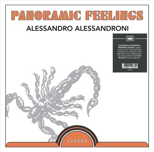 Panoramic Feelings cover art
