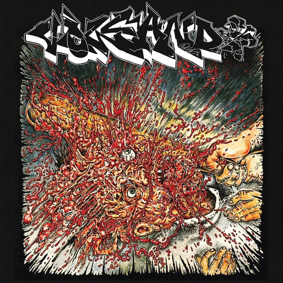 Fool 2 tha Game cover art