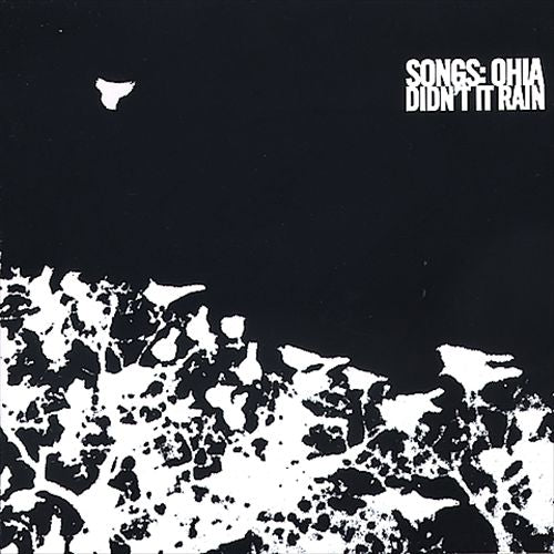 Didn't It Rain cover art