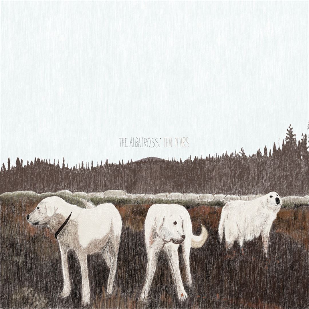 Albatross cover art
