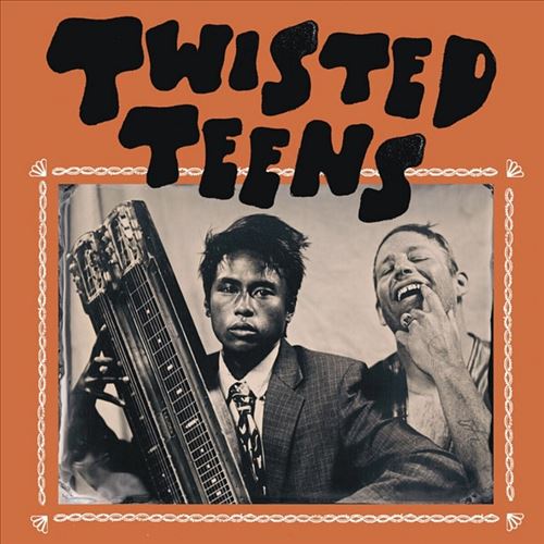 Twisted Teens cover art
