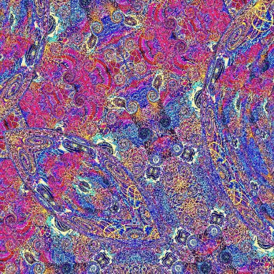 Placenta cover art