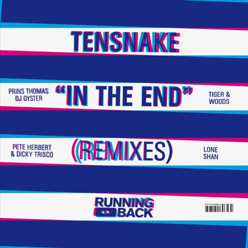 In the End (Remixes) cover art