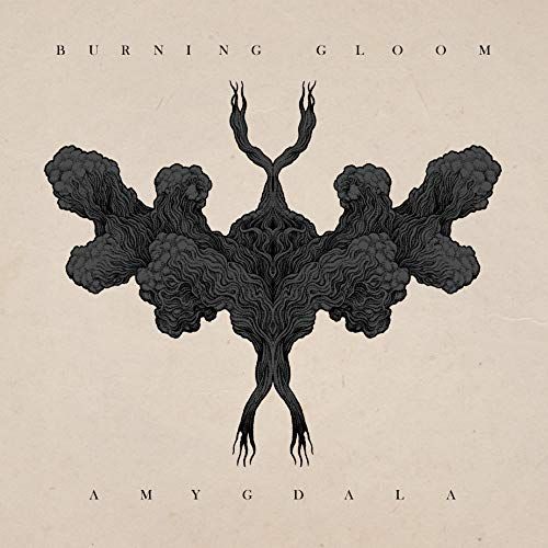 Amygdala cover art