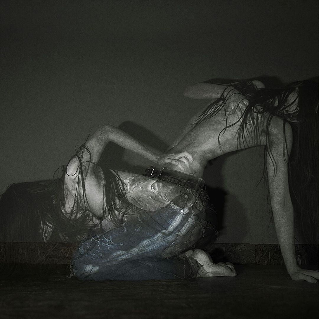 Something Is a Shell . cover art