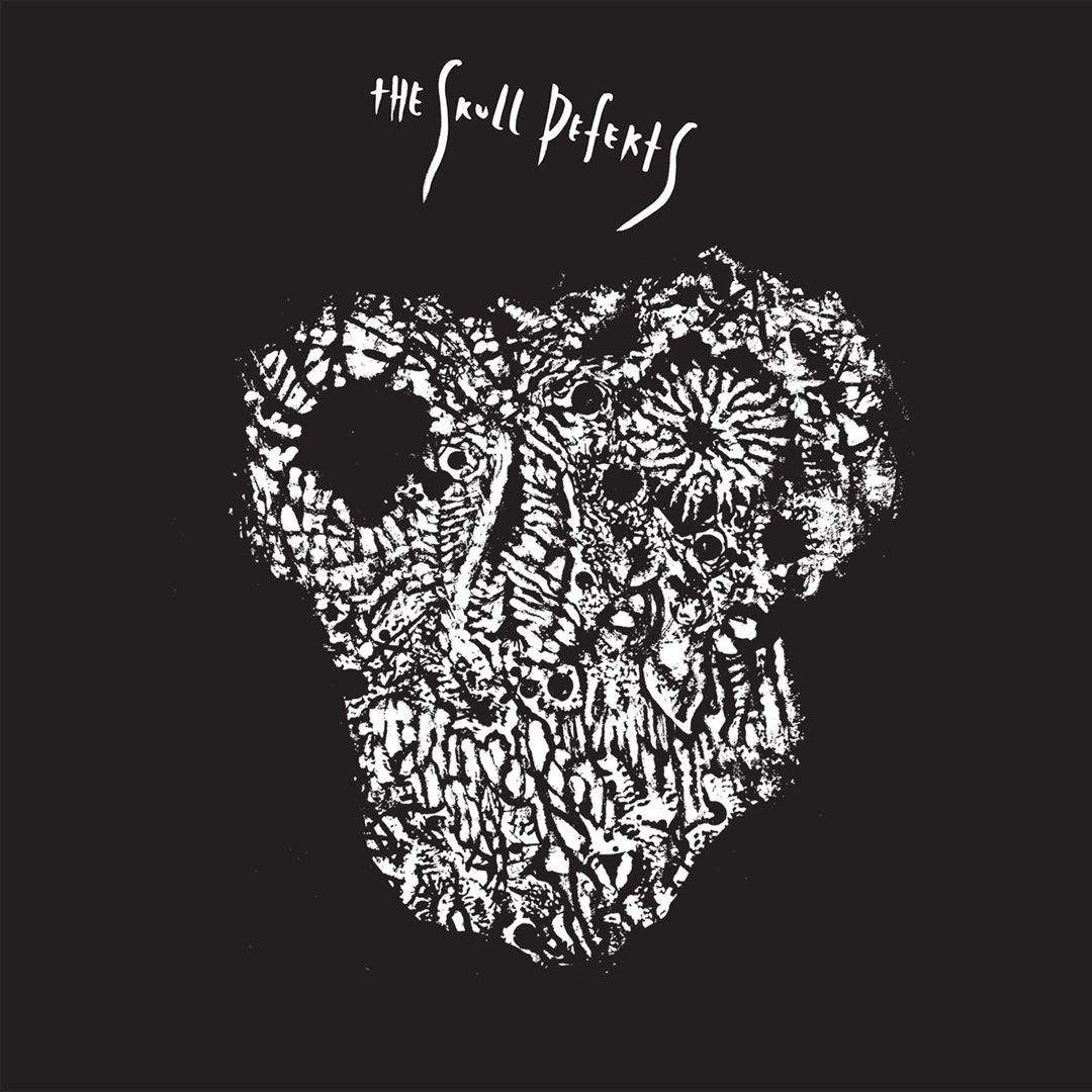 Skull Defekts cover art