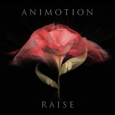 Raise Your Expectations cover art