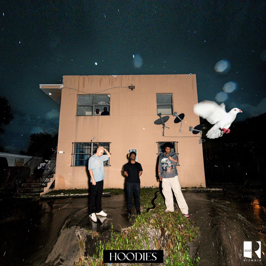 Hoodies cover art